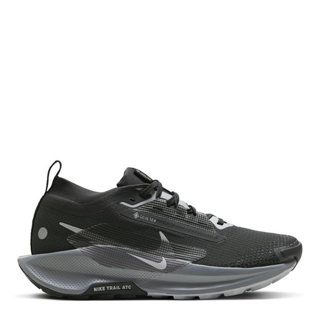 Pantof Nike Pegasus Trail 5 GORE-TEX Trail Running dama