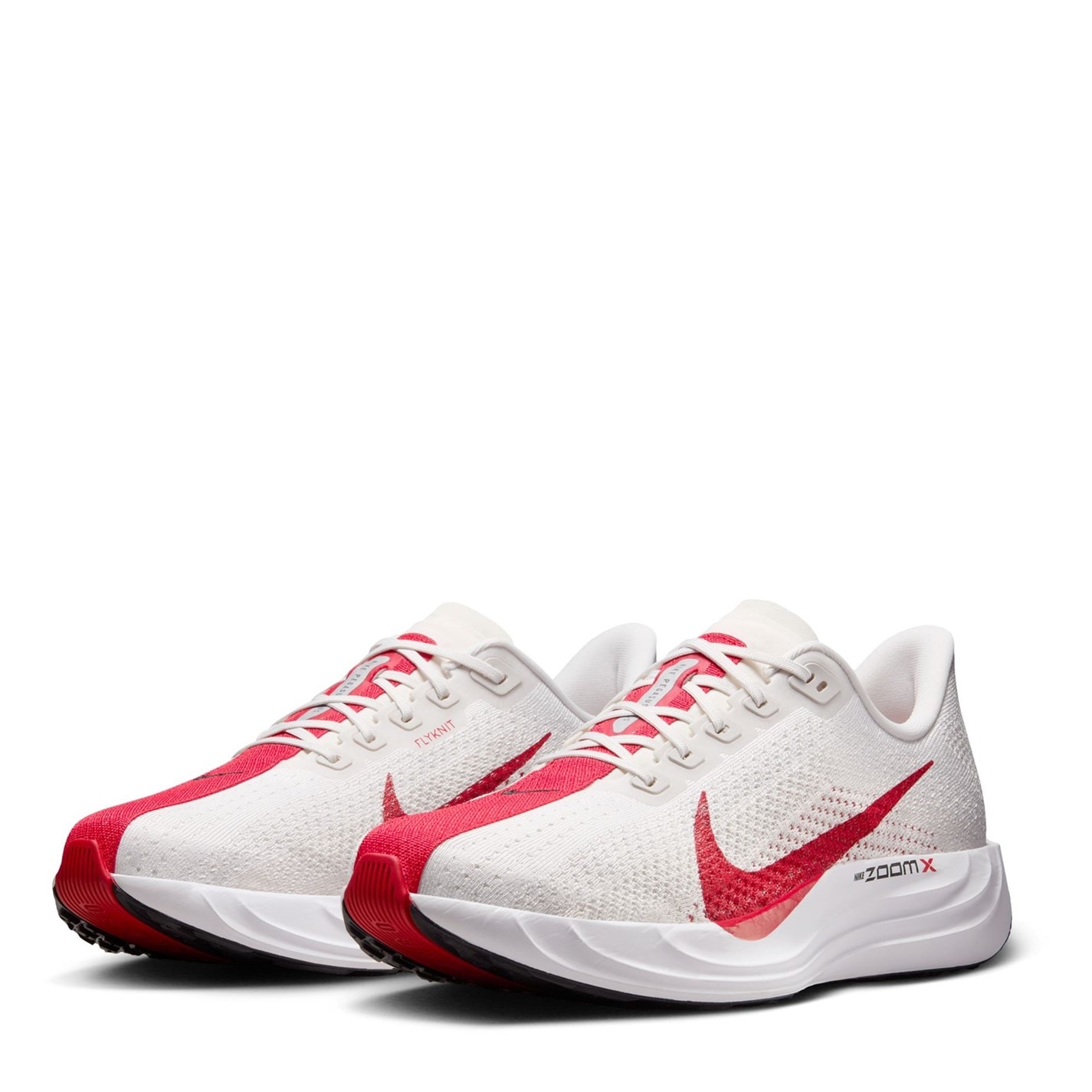 Pantof sport Nike Pegasus Plus barbat