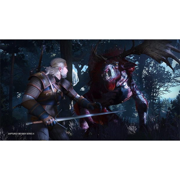 Bandai Namco Entertainment THE WITCHER 3: WILD HUNT - COMPLETE EDITION