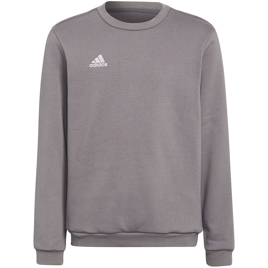 Bluza dla dzieci adidas Entrada 22 Sweat Top szara H57477