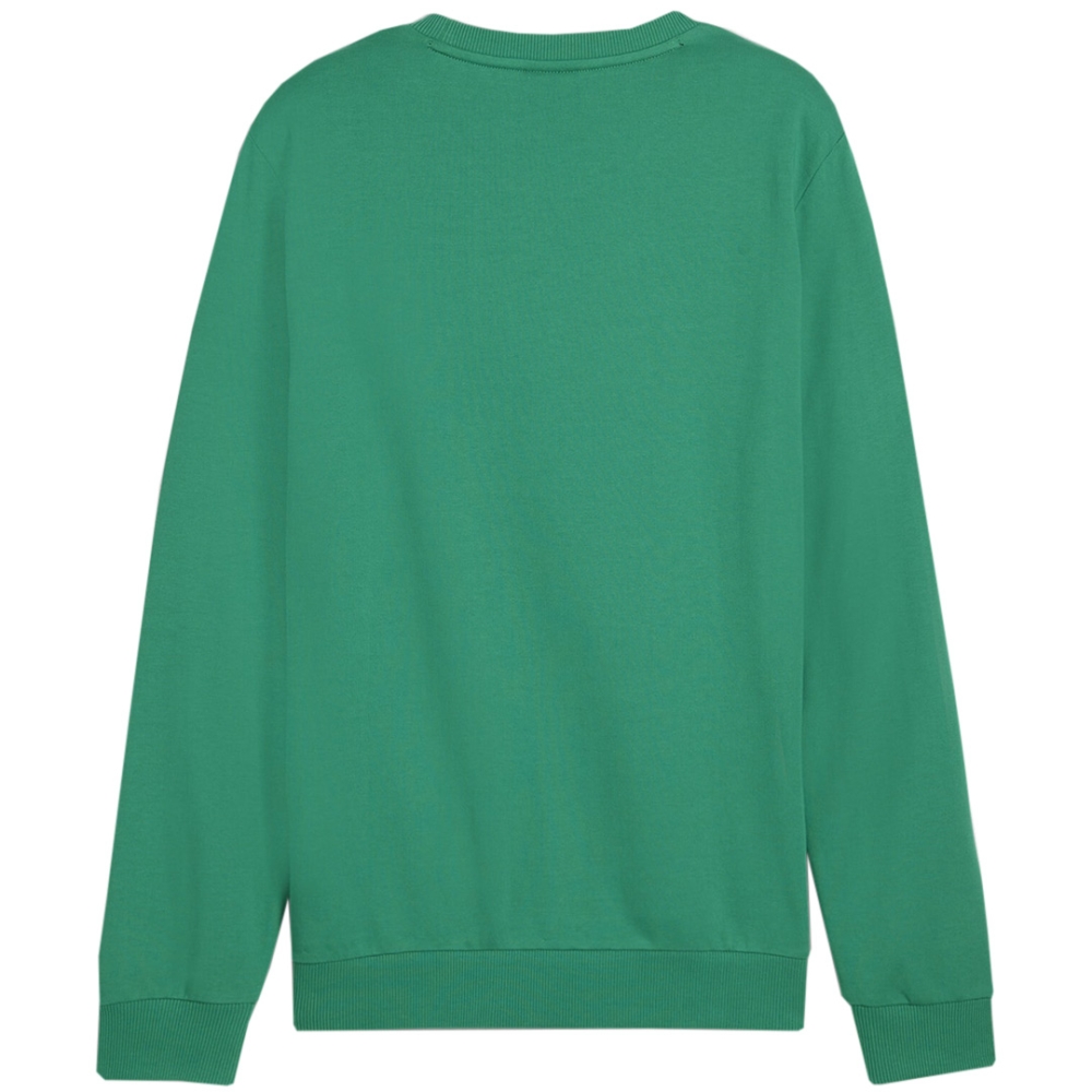 Bluza trening Puma Team Goal Casuals Crew Neck Sweat men's green 658592 05