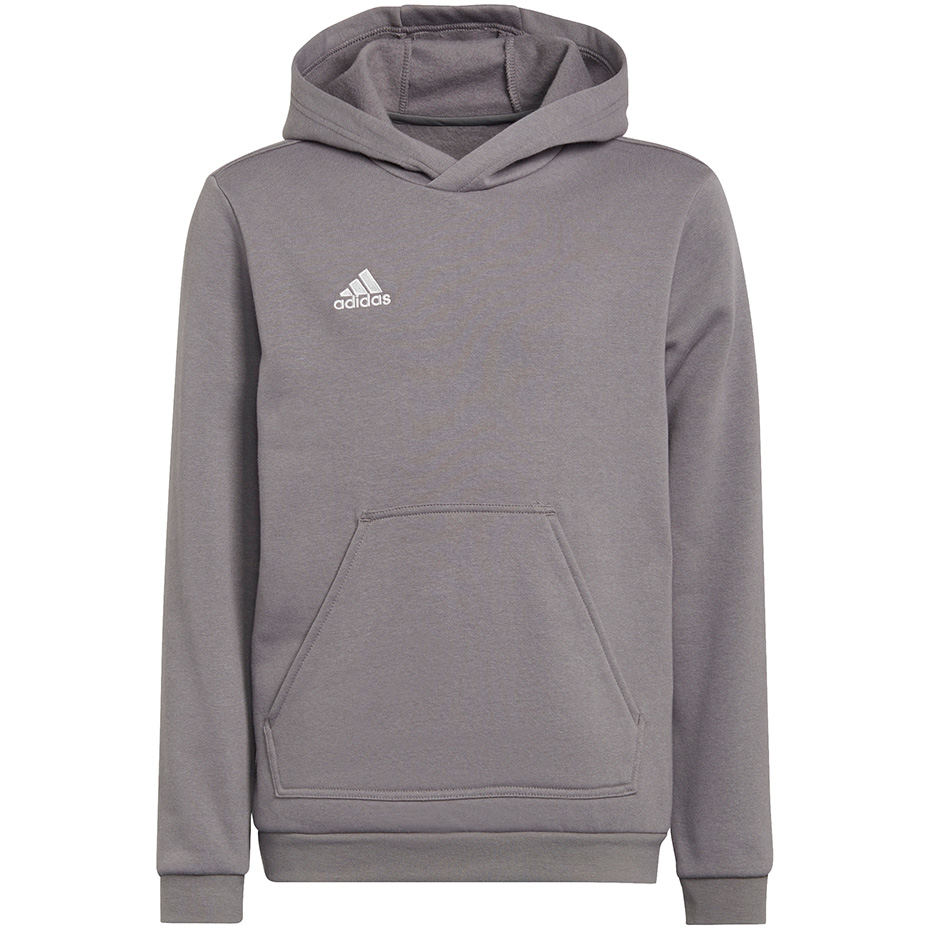 Hanorac Bluza dla dzieci adidas Entrada 22 szara H57515