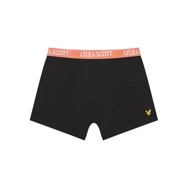 Lenjerie intima Lyle and Scott 5 Pack