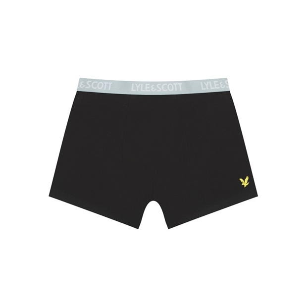 Lenjerie intima Lyle and Scott 5 Pack