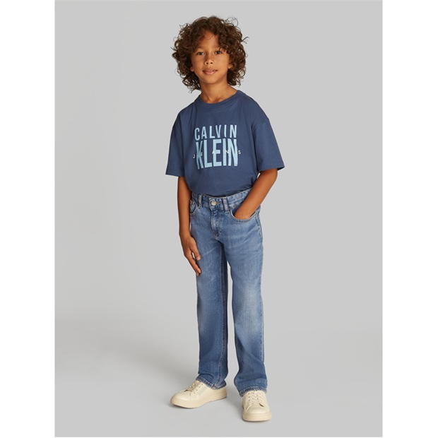 Blug Calvin Klein SOFT BLUE REG. STRAIGHT Calvin Klein Jeans