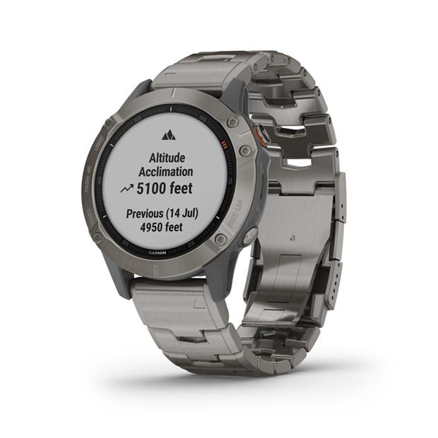 Garmin 6 Sapphire Plastic/resin Fitness Watch