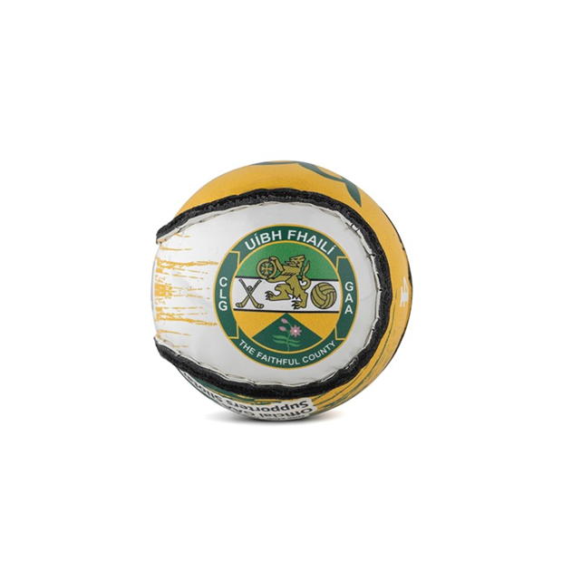 County Sliotar 51