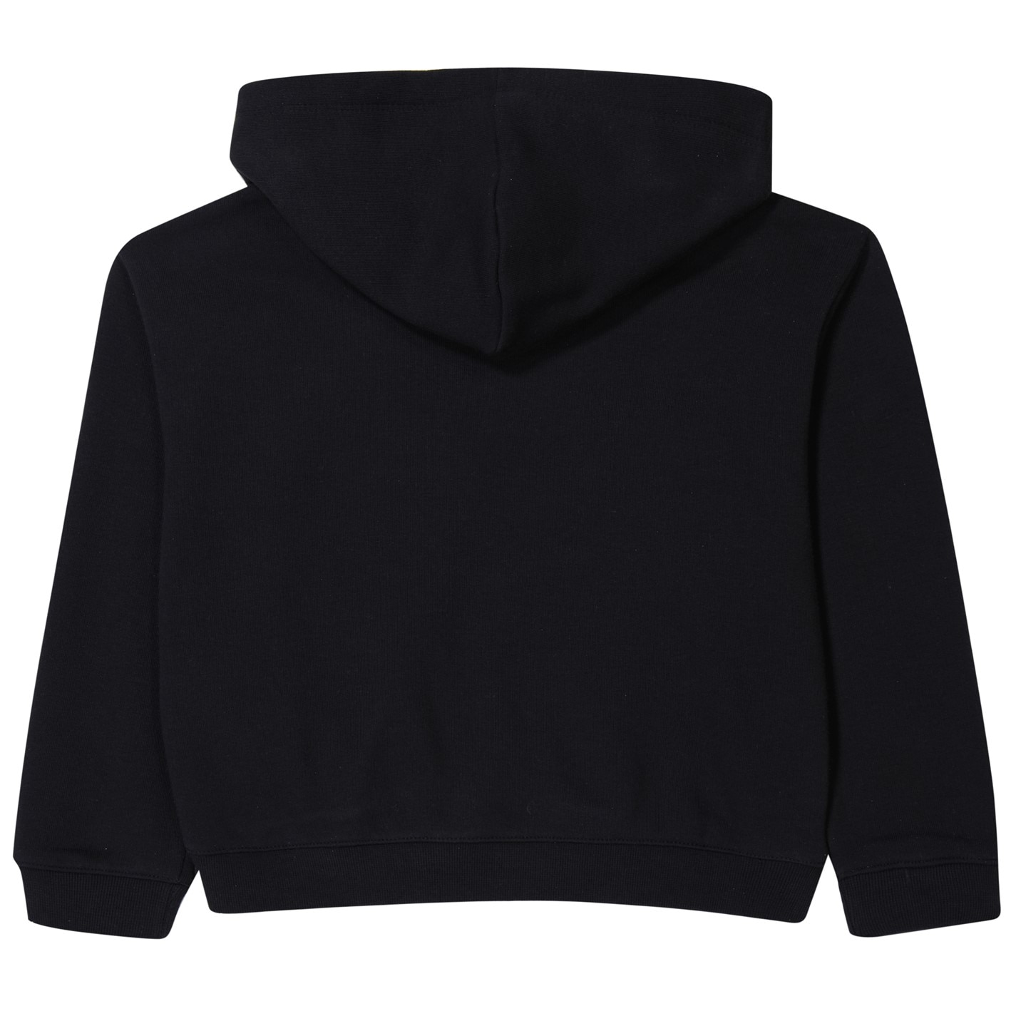 Champion G Hooded Sw Ch99