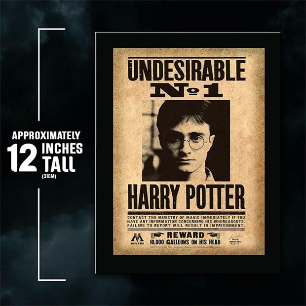 Harry Potter Harry Potter Undesirable Plaque