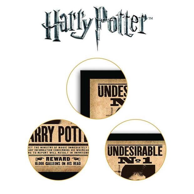 Harry Potter Harry Potter Undesirable Plaque