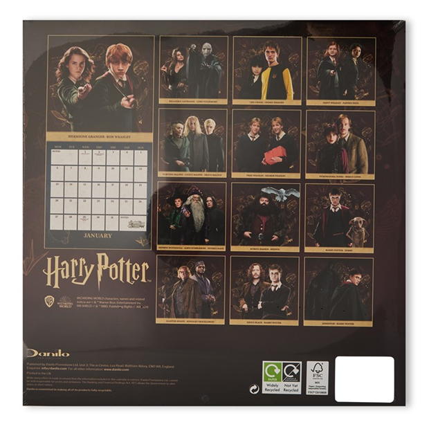 Harry Potter Potter CAL25 51