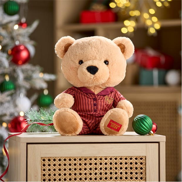 House of Fraser HOF Fraser Bear 2024 44