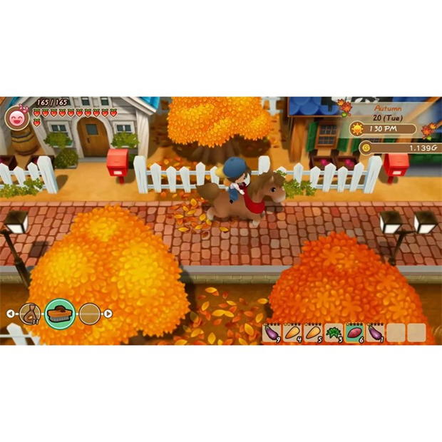 GAME Story of Seasons: Friends of Mineral Town