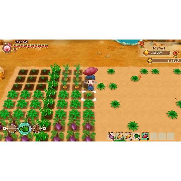 GAME Story of Seasons: Friends of Mineral Town