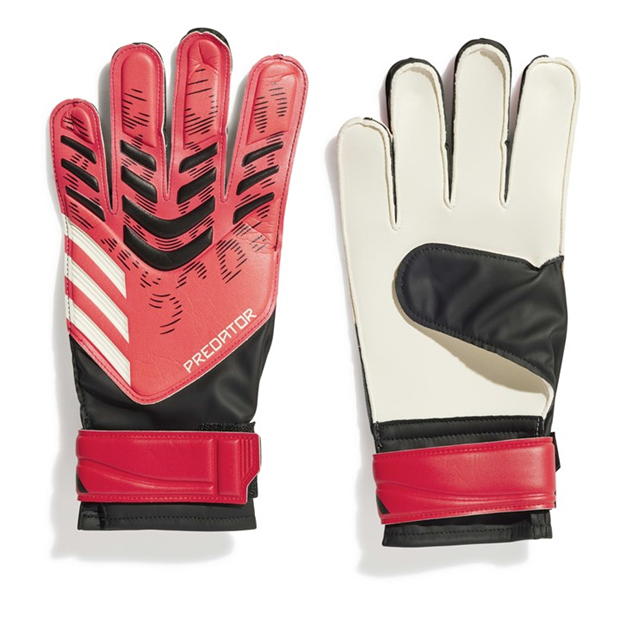 Manusa Portar adidas Predator Training adulti