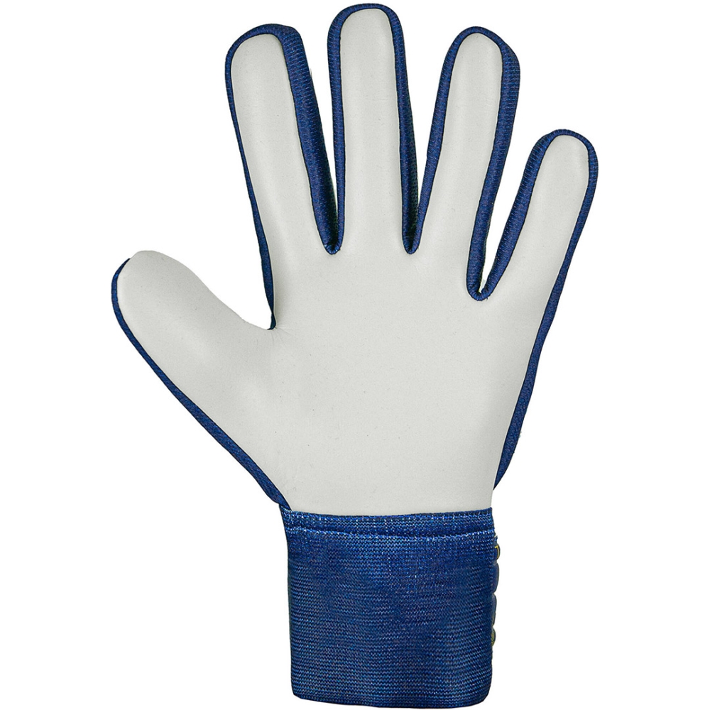 Manusa Portar Reusch Attrakt Starter Solid navy blue 5470514 4409