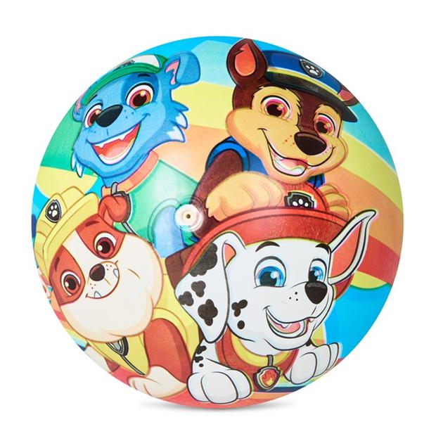 Disney Paw Patrol Ball