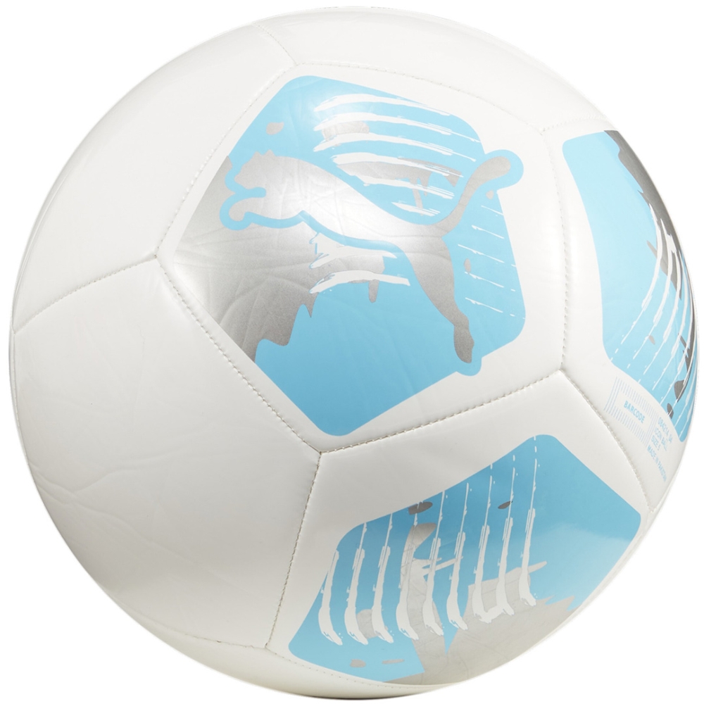 Minge Fotbal Puma Big Cat white and blue 84214 04