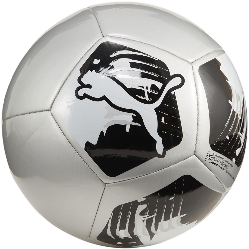 Minge Fotbal Puma Big Cat silver 84214 03