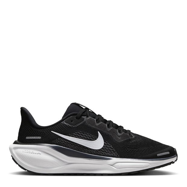 Nike Pegasus 41 Ch53