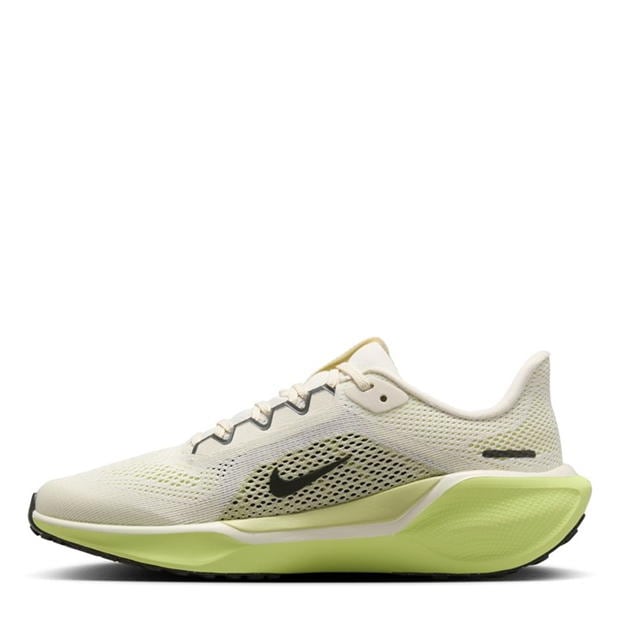 Nike Pegasus 41 Ch53