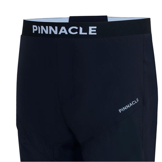 Pinnacle 2in1 Cy Pnt Sn53