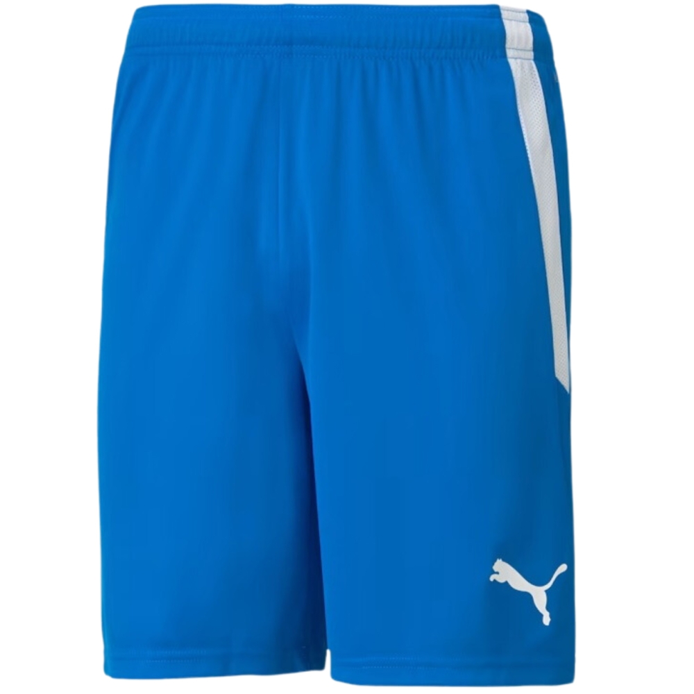 Pantalon scurt Combat Puma teamLIGA men's blue 704924 02