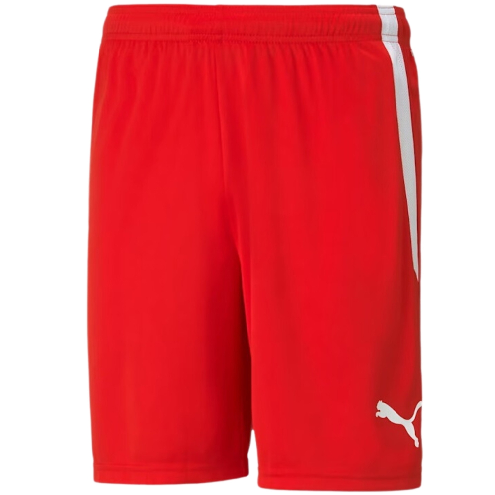 Pantalon scurt Combat Puma teamLIGA men's red 704924 01