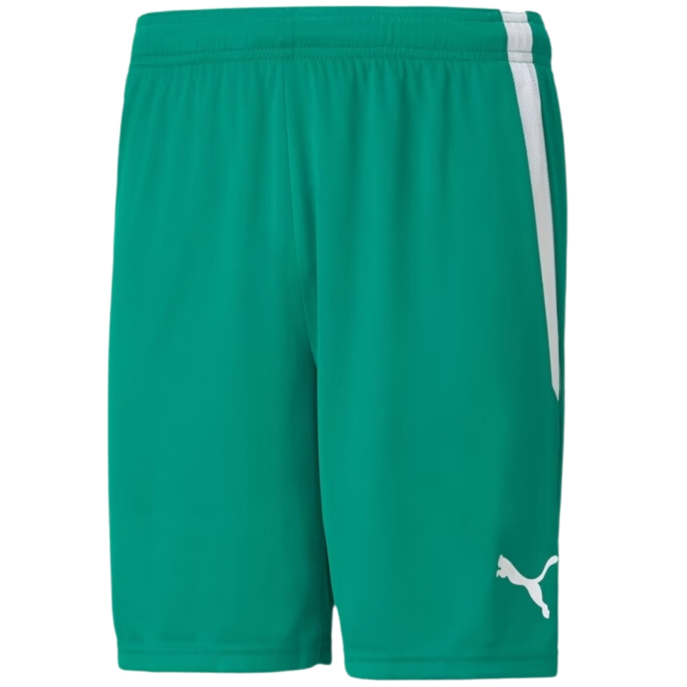 Pantalon scurt Combat Puma teamLIGA men's green 704924 05