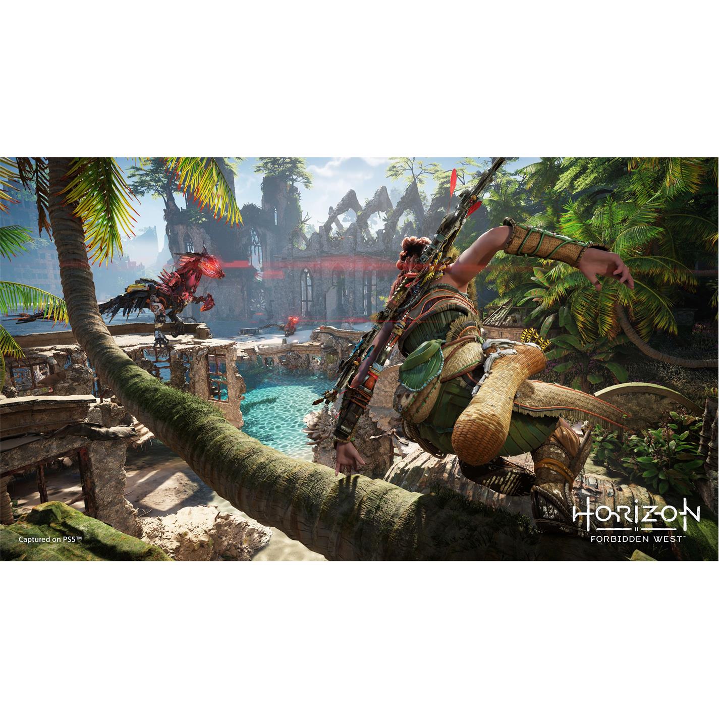 PlayStation Horizon Forbidden West