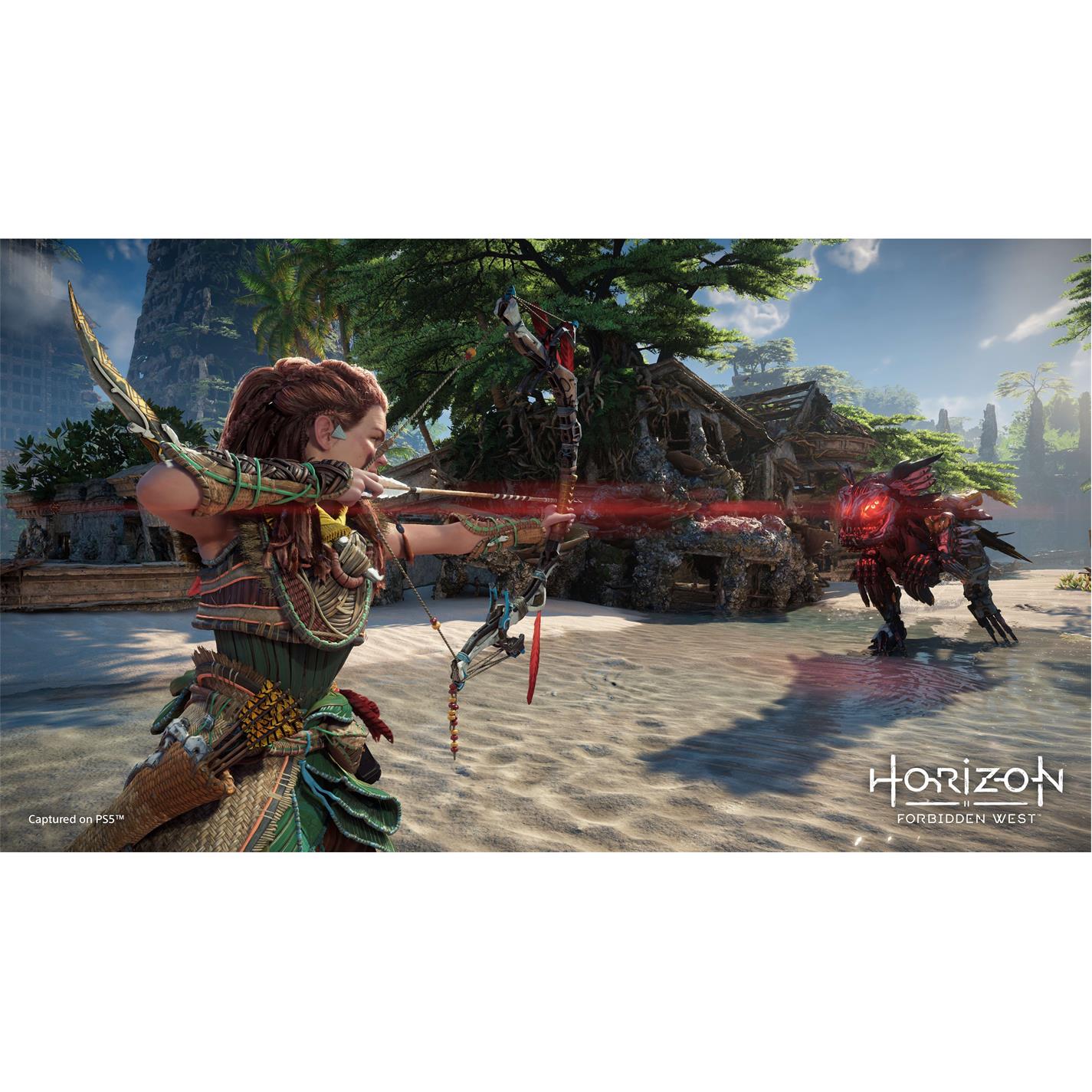 PlayStation Horizon Forbidden West