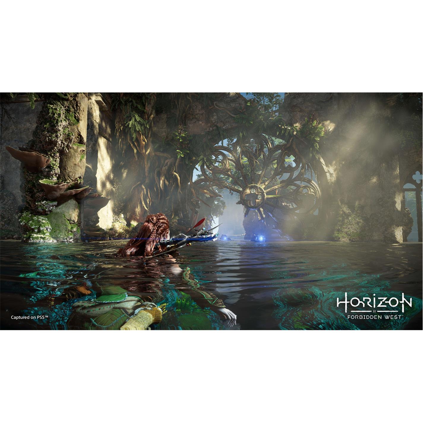 PlayStation Horizon Forbidden West