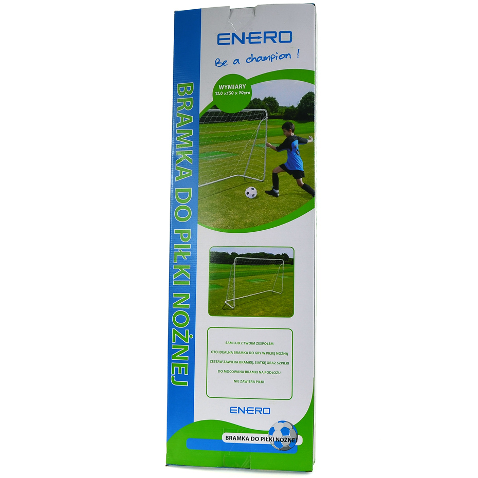 Minge Fotbal ENERO TICKET WITH A NETWORK 240x150x90cm 1003160