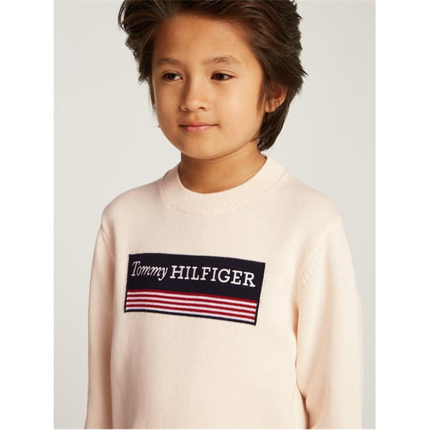 Bluza trening Tommy Hilfiger MONOTYPE 1985 REG