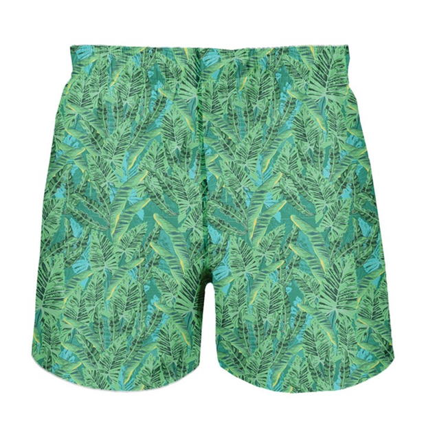 Ript Leaf Swim Shrt Jn00