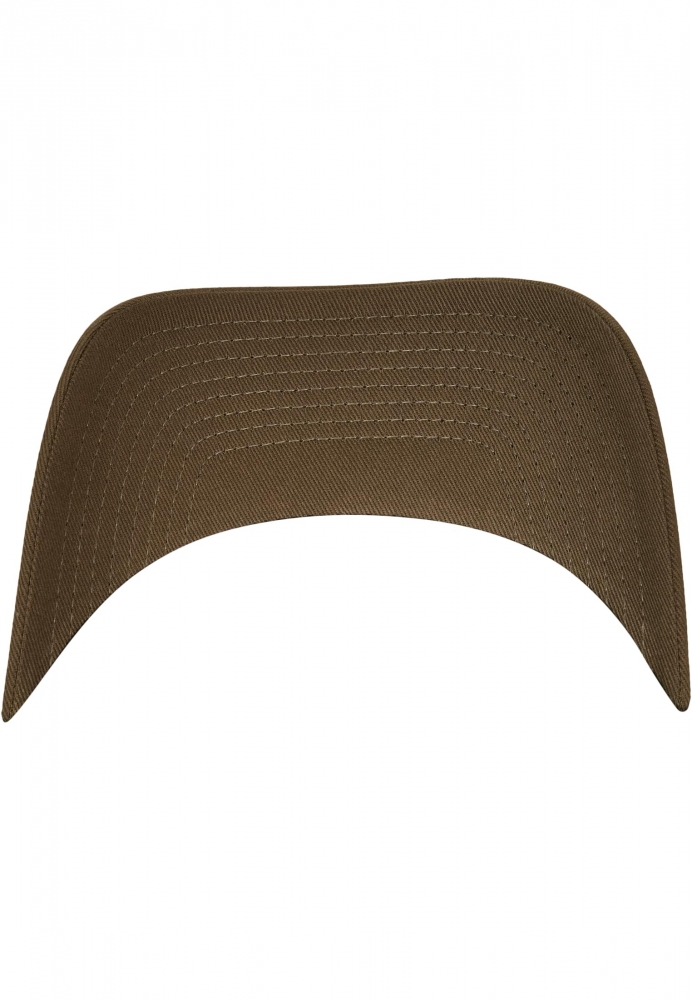 Flexfit 110 Curved Visor Snapback