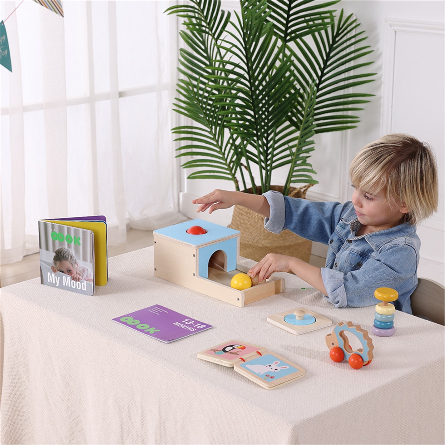 Tooky Toys Educational Toy Set babies