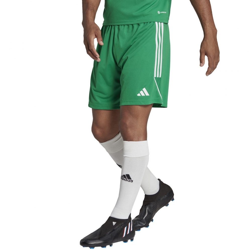 Pantalon scurt Combat Men's adidas Tiro 23 League green IB8087