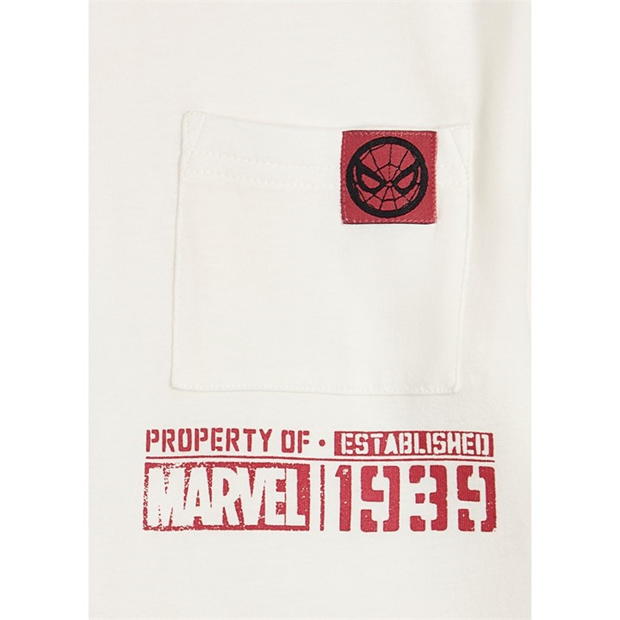 Character Spiderman Drop Shoulder Top