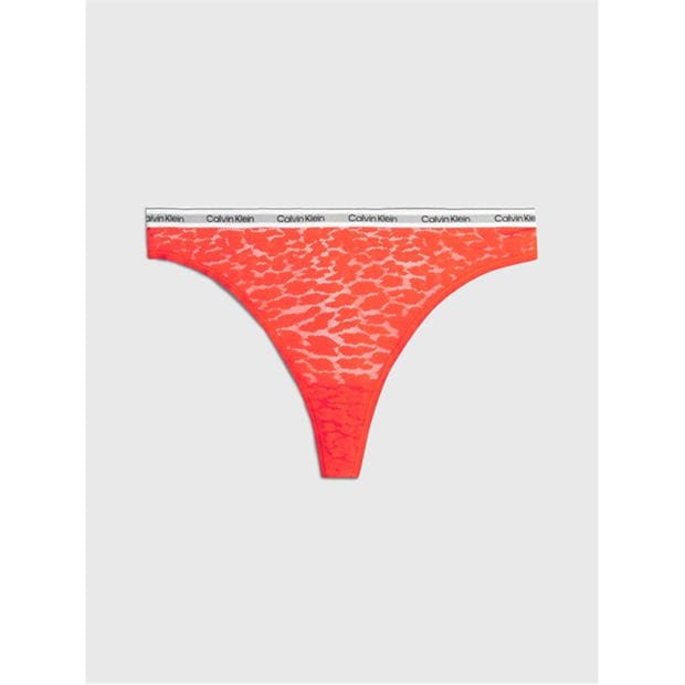 Calvin Klein Modern Cotton Lace Thong