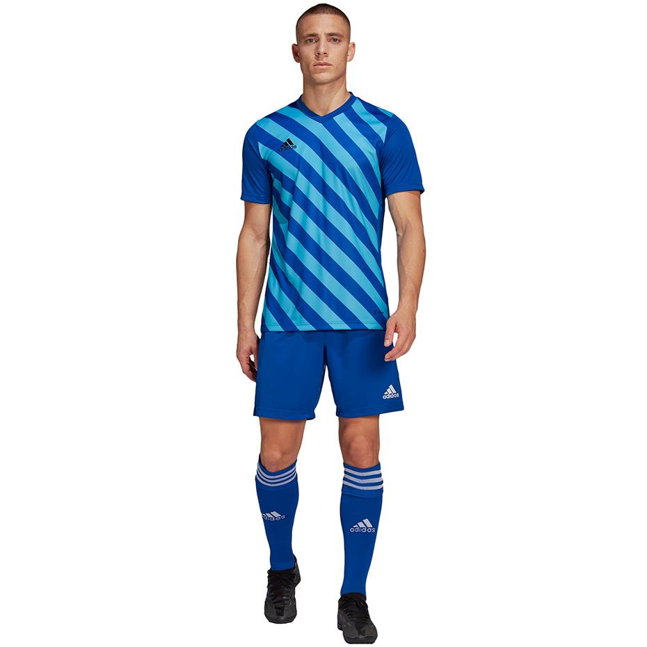 Koszulka męska adidas Entrada 22 Graphic Jersey niebiesko-błękitna HF0116