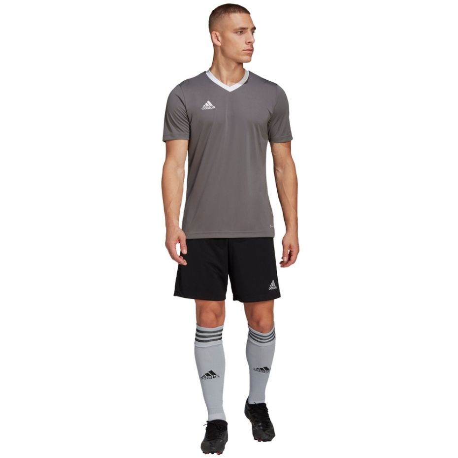 Koszulka męska adidas Entrada 22 Jersey szara HE1574