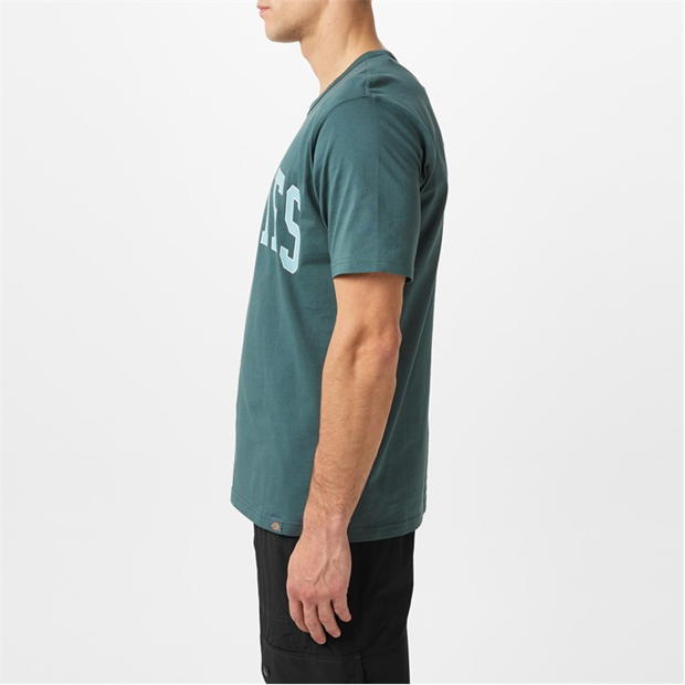 Camasa Dickies Aitkin T-