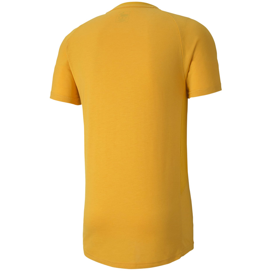 Tricou Puma Evostripe Lite yellow 581534 25