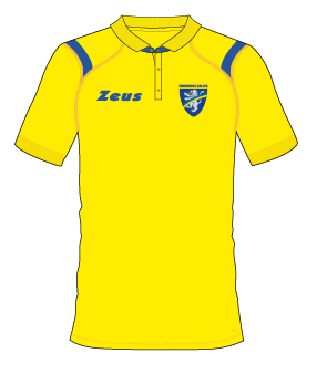 Tricouri polo FR ACADEMY 18/19 Zeus galben albastru roial