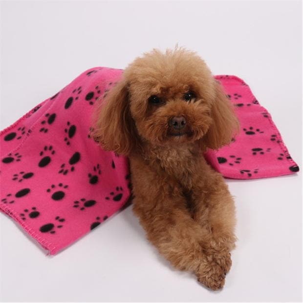 Waggy Tails Flc Blanket 52