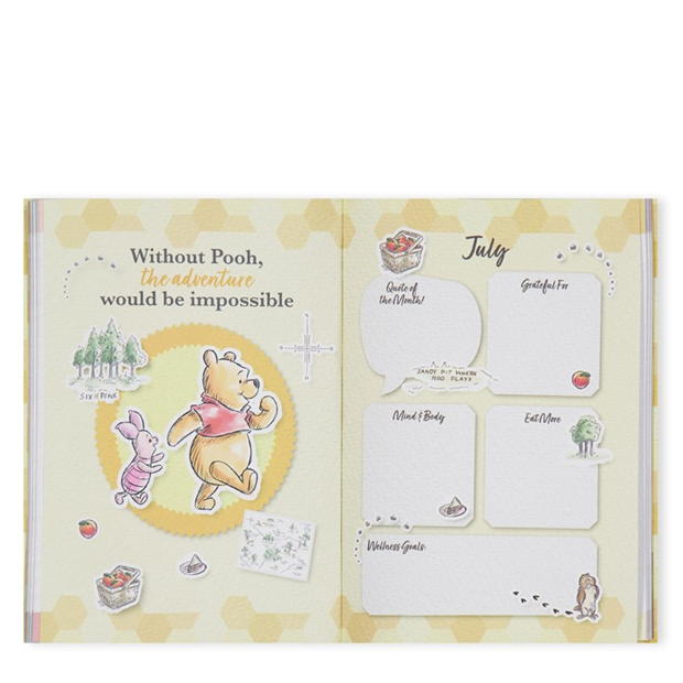 Winnie The Pooh The Pooh WTPDry 51