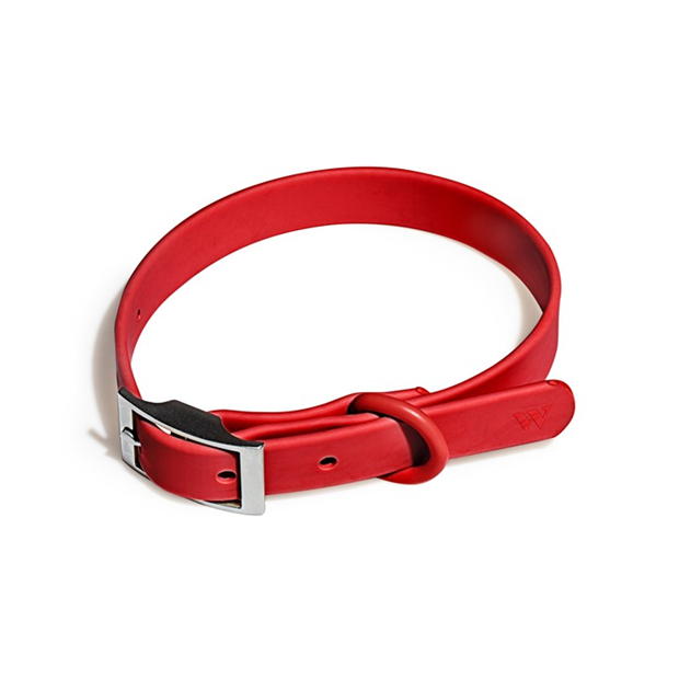 Wild One Dog Collar 99